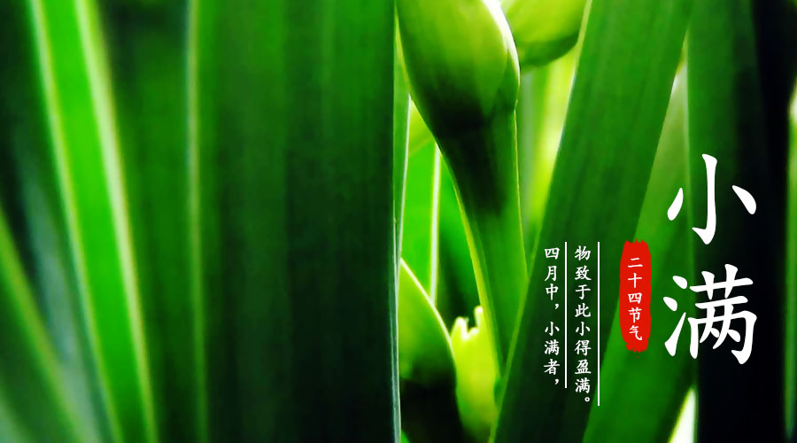 首页| CA88集团中国唯一官方网站