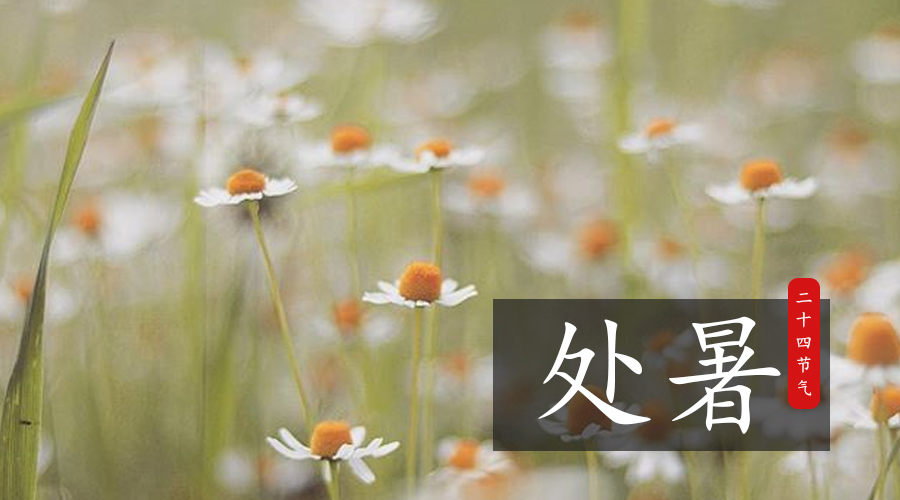 首页| CA88集团中国唯一官方网站