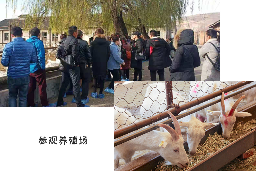 首页| CA88集团中国唯一官方网站