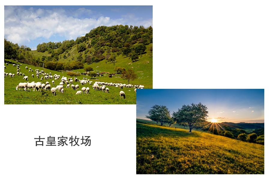 首页| CA88集团中国唯一官方网站