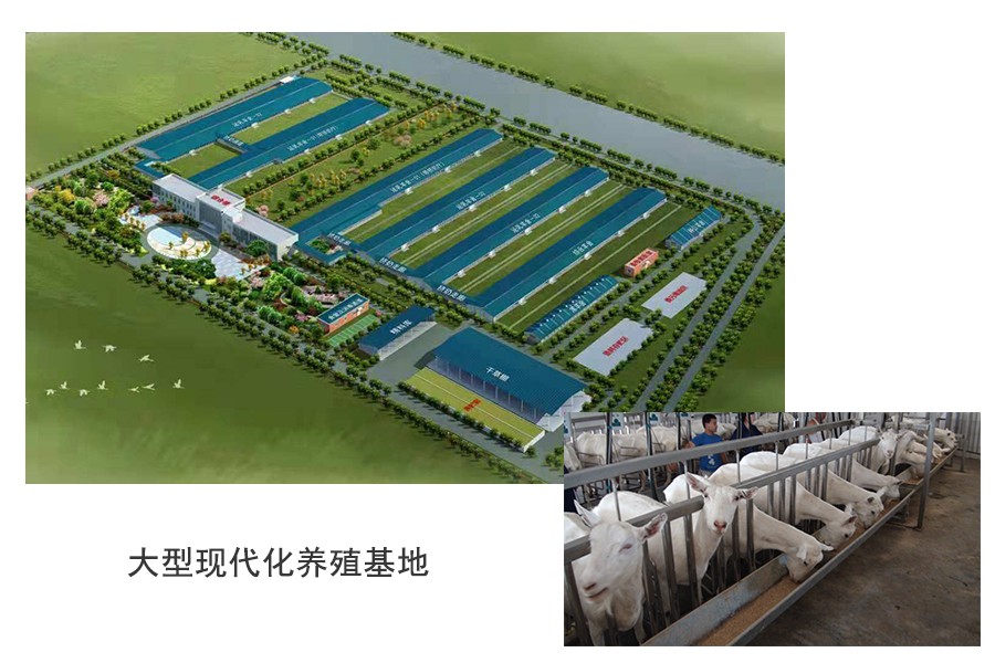 首页| CA88集团中国唯一官方网站