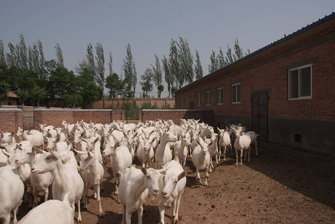 首页| CA88集团中国唯一官方网站