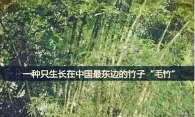 首页| CA88集团中国唯一官方网站