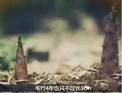 首页| CA88集团中国唯一官方网站