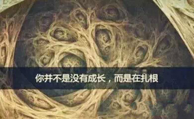 首页| CA88集团中国唯一官方网站