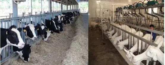 首页| CA88集团中国唯一官方网站